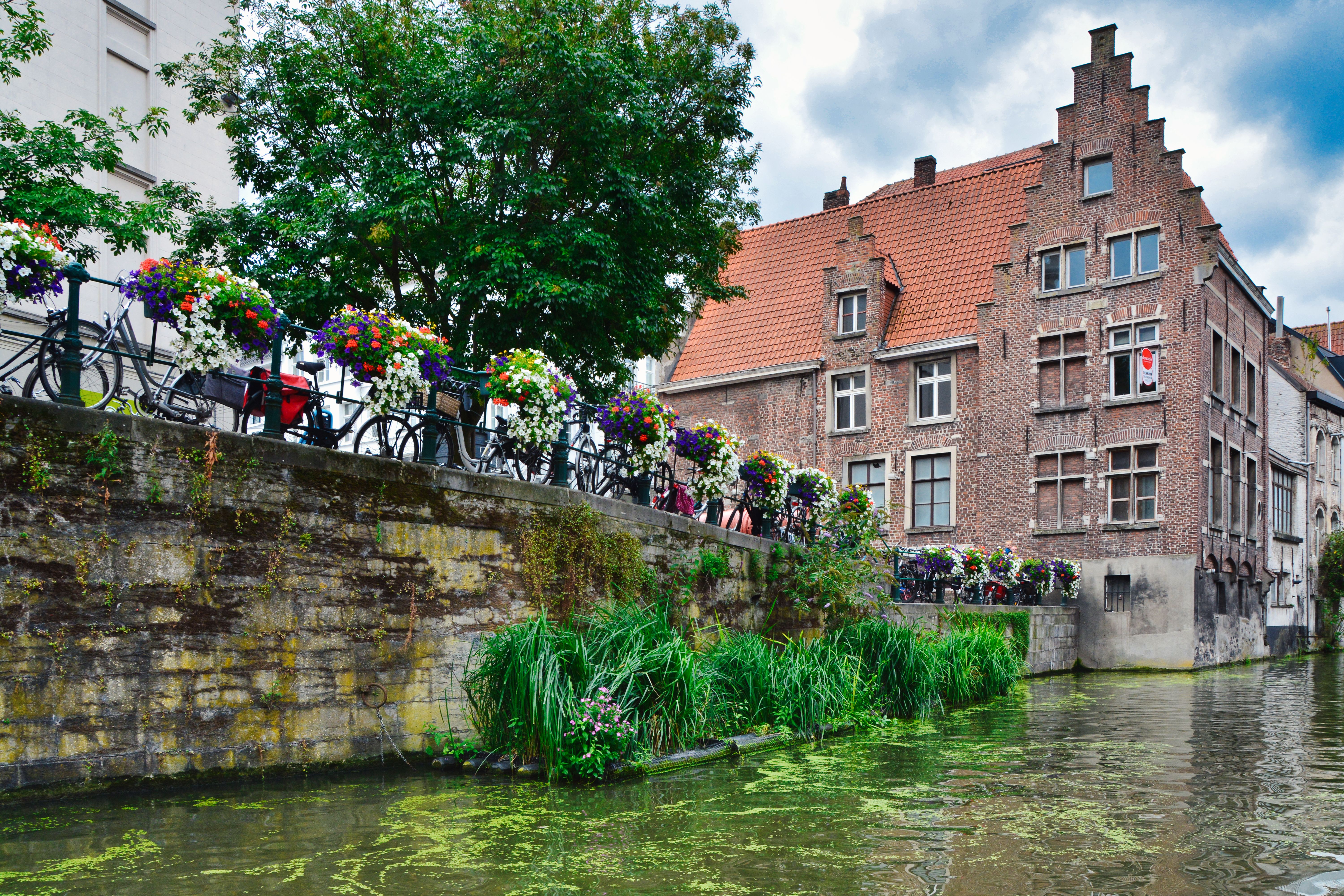 Bicycles and flowers beside a Ghent canal