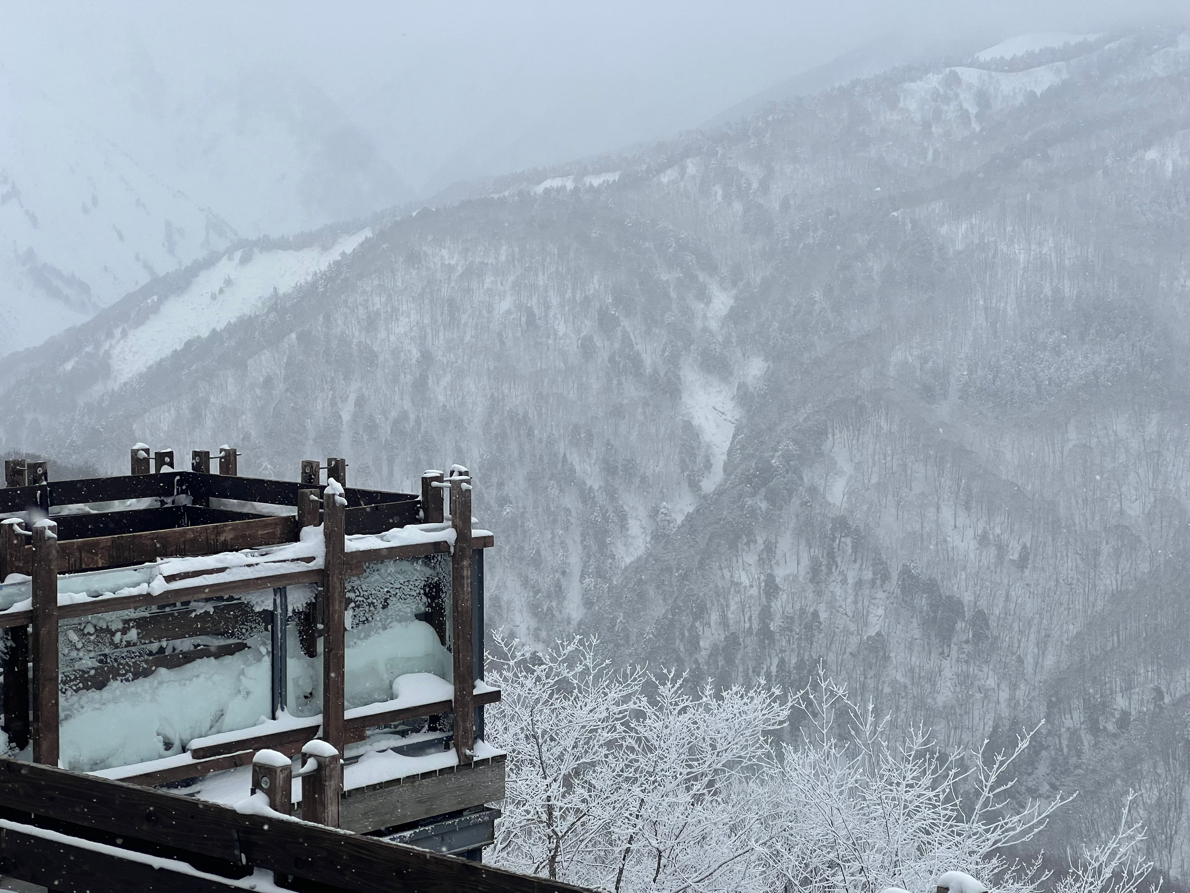 A snow-covered mountain hut and forest in Hakuba