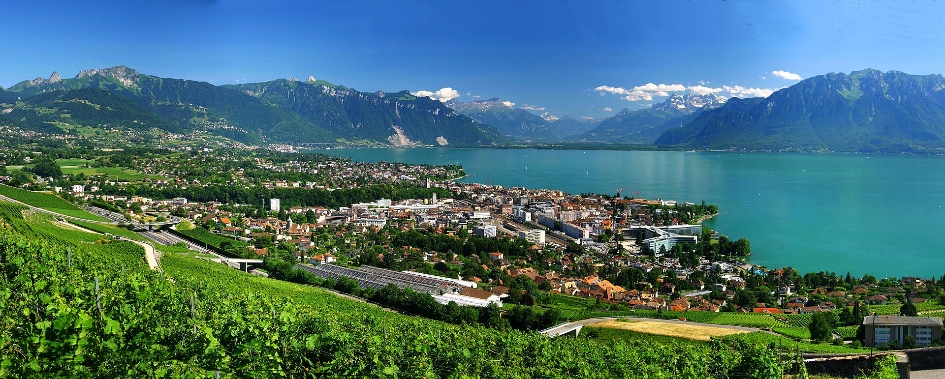 Vevey, vineyards and Lake Geneva beneath the Alps