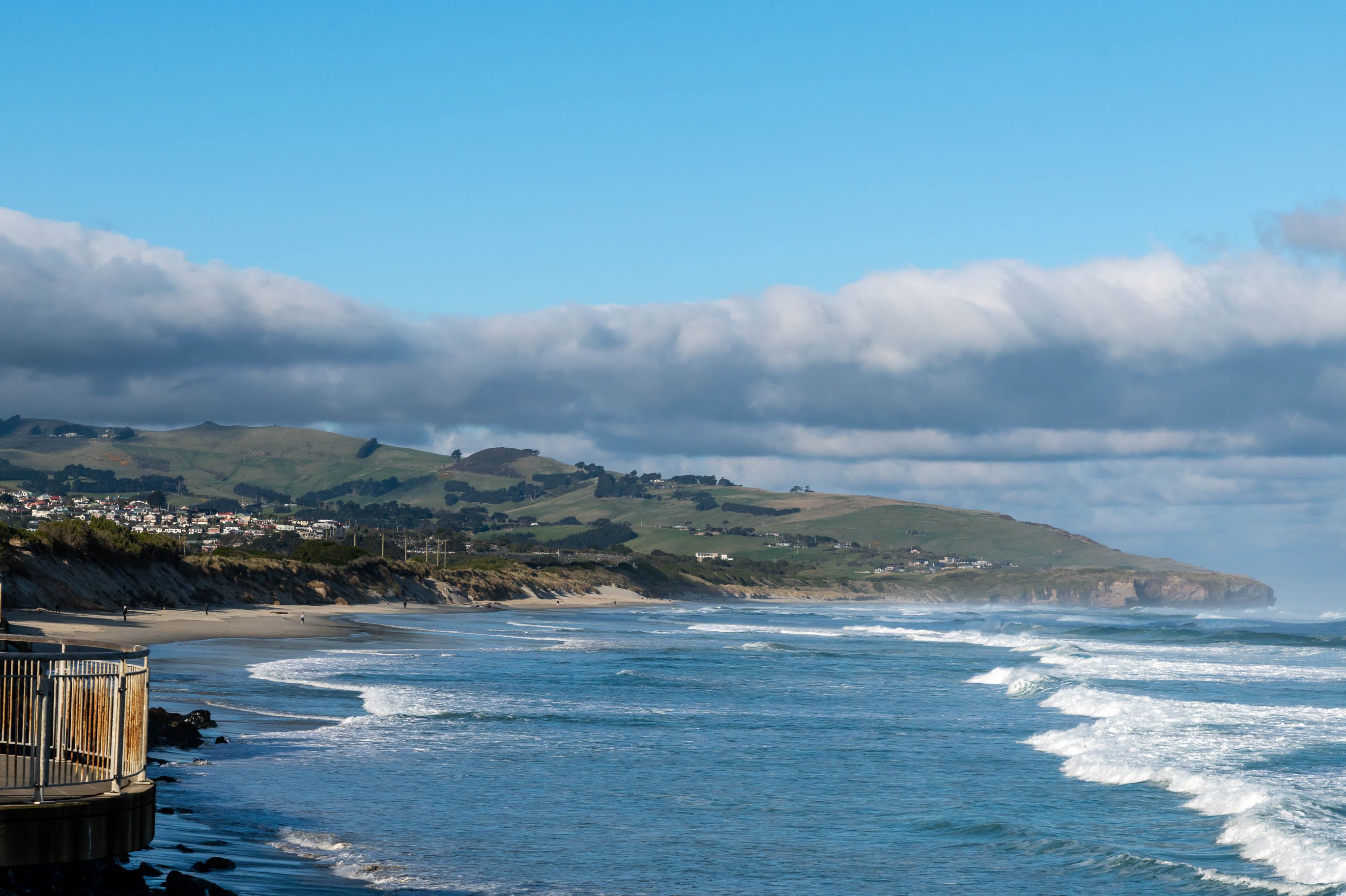Dunedin coastline