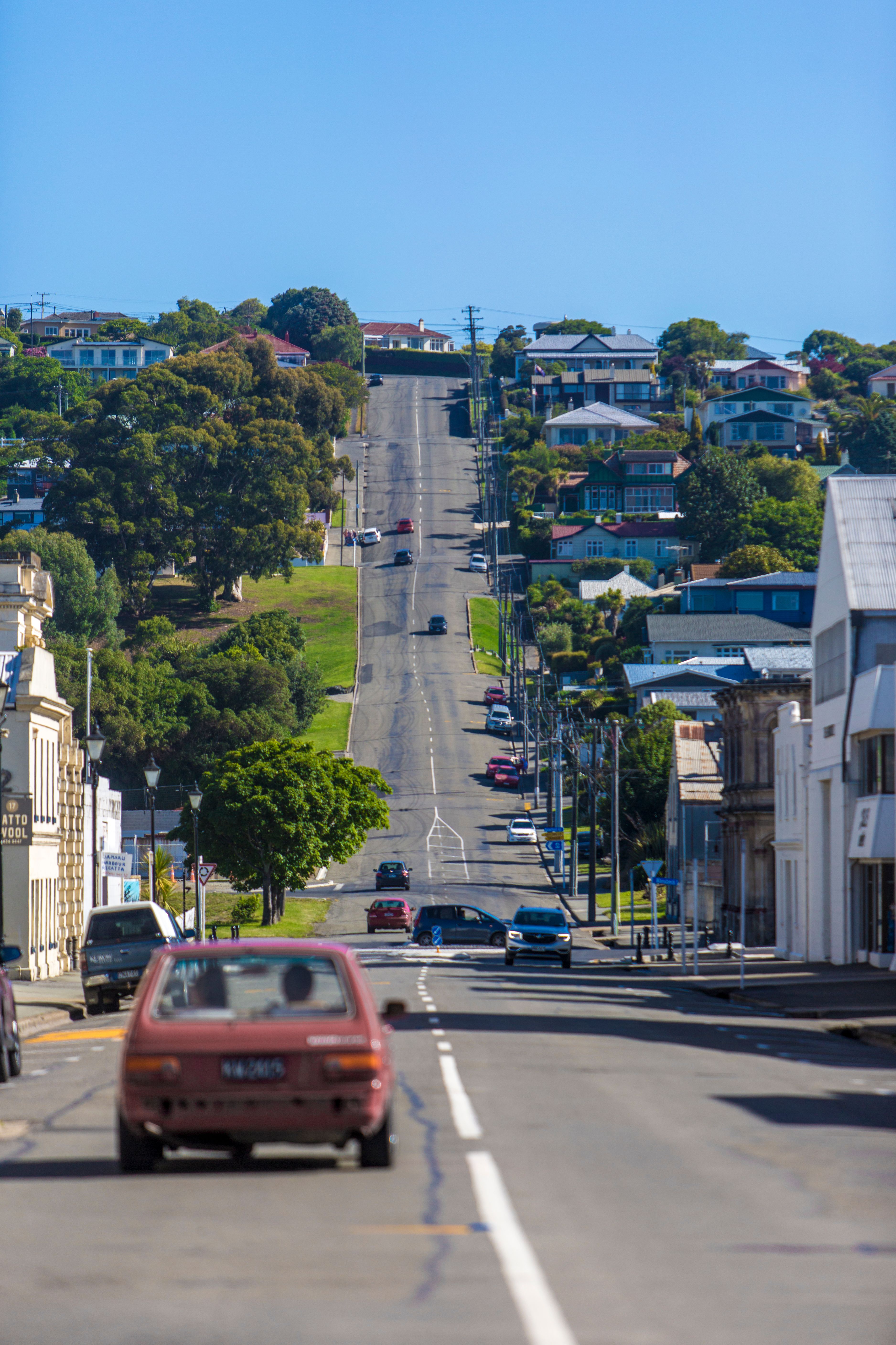 Hilly Dunedin residential street