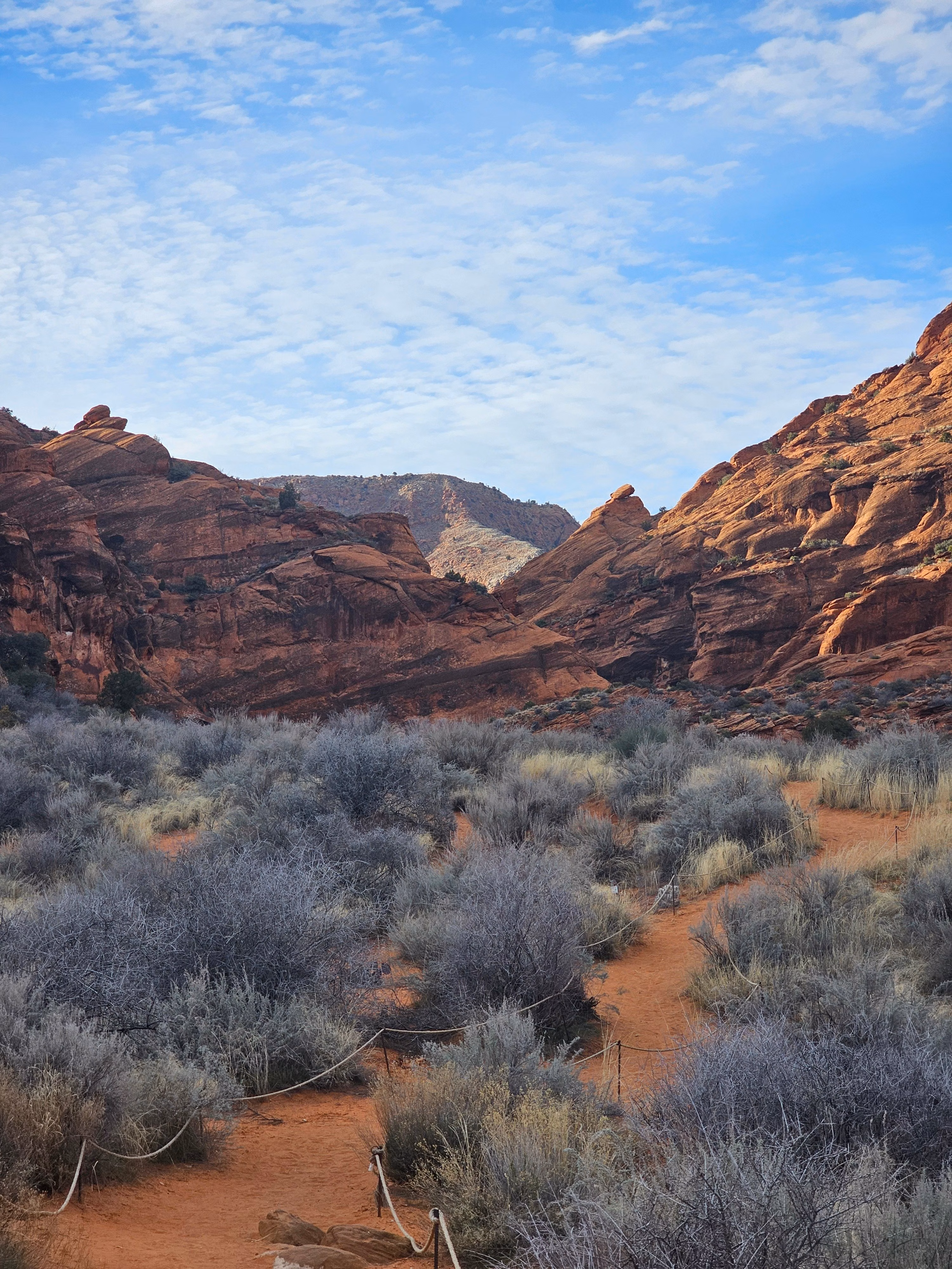 Desert trail near St. George