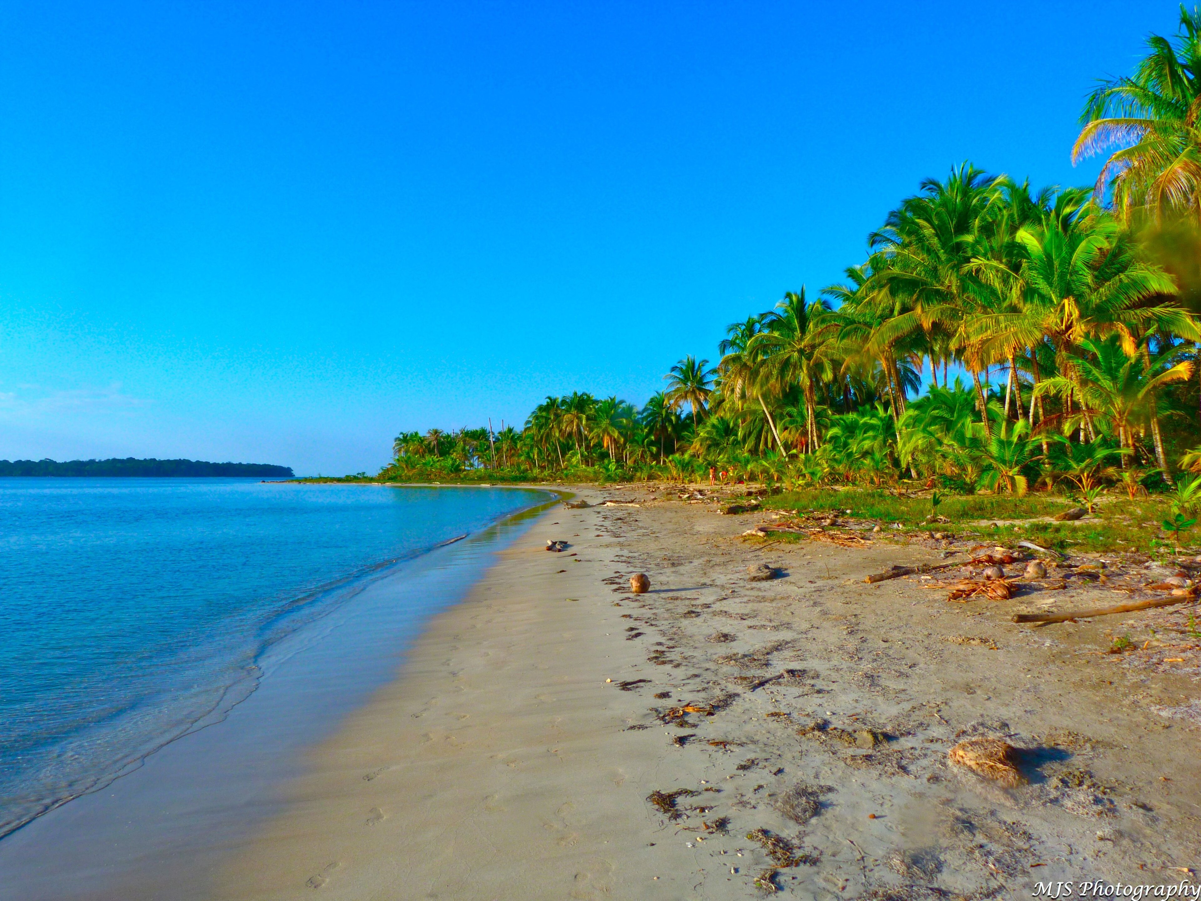 Paradise - Bocas del drago (6778445008).jpg