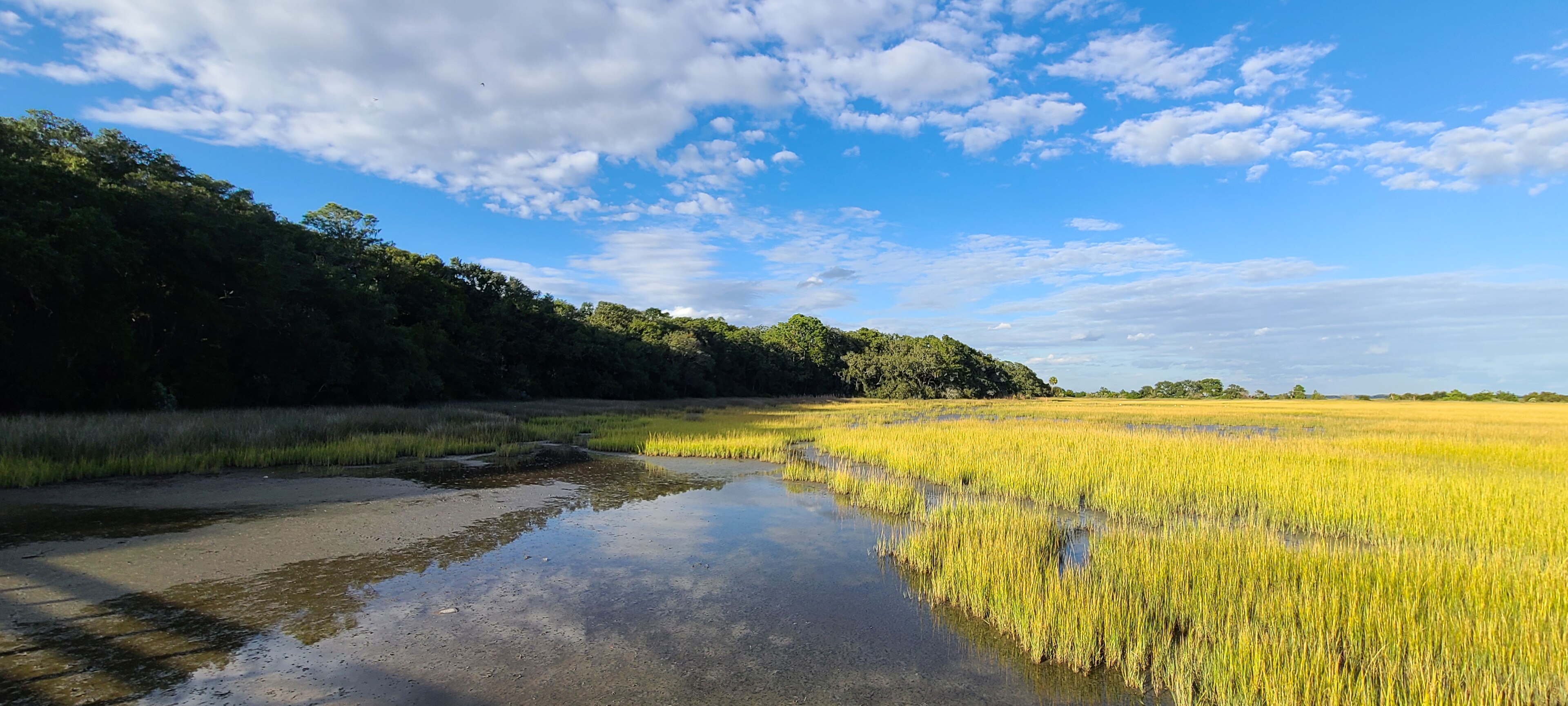 Salt Marsh at Fish Haul Creek, Hilton Head Island.jpg